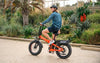 HeyBike, Mars 2.0, Vélo Électrique (48 Volts) (12.5Ah) (750 Watts) (1000 Crête)