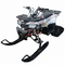 Tao Motors, Raptor 125, Gas Quad (4 Stroke) (125cc) (10 Years+)