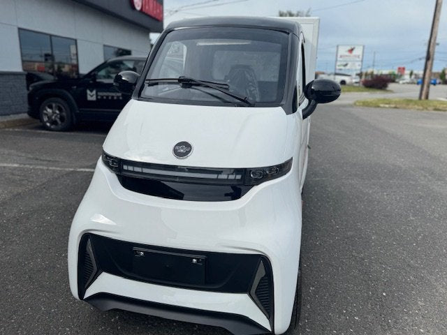 Ecolo Cycle, ET4 Cruise Connect Cube, Quadriporteur Cabine Fermée (72 Volts) (5000 Watts) (100Ah)