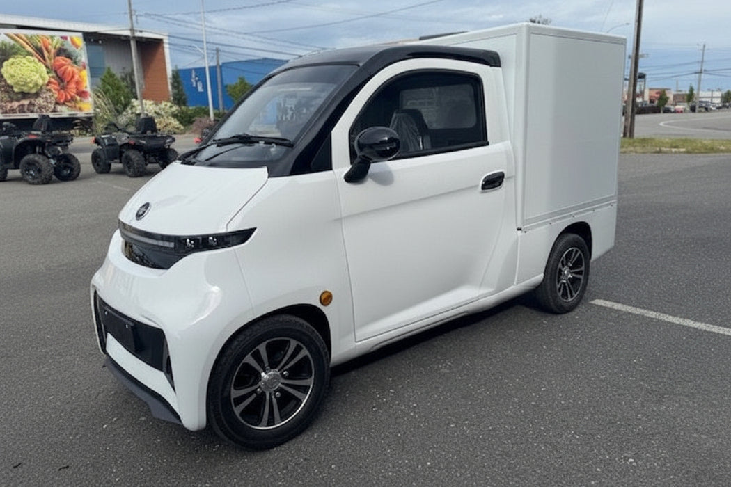 Ecolo Cycle, ET4 Cruise Connect Cube, Quadriporteur Cabine Fermée (72 Volts) (5000 Watts) (100Ah)