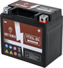 Apollo VRX 110-F, 125, 125F - Battery (12 volts)