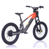 Apollo, RFN EVO 20, Vélo Électrique pour Enfant (36 Volts) (750 Watts) au Lithium