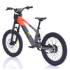 Apollo, RFN EVO 20, Vélo Électrique pour Enfant (36 Volts) (750 Watts) au Lithium