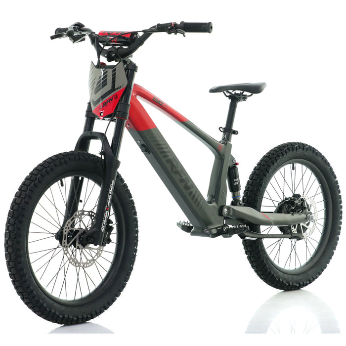Apollo, RFN EVO 20, Vélo Électrique pour Enfant (36 Volts) (750 Watts) au Lithium