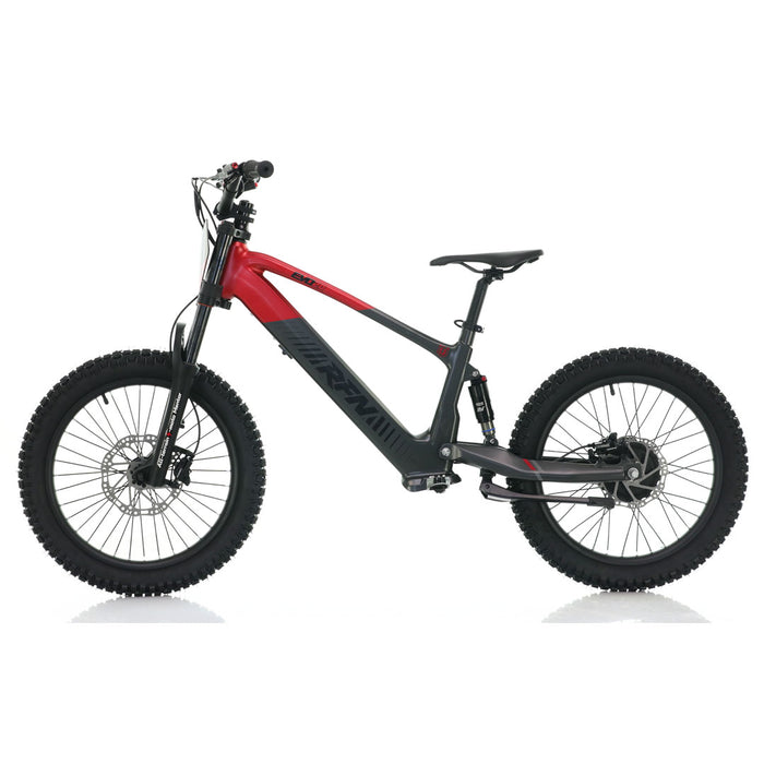 Apollo, RFN EVO 20, Vélo Électrique pour Enfant (36 Volts) (750 Watts) au Lithium