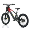 Apollo, RFN EVO 20, Vélo Électrique pour Enfant (36 Volts) (750 Watts) au Lithium