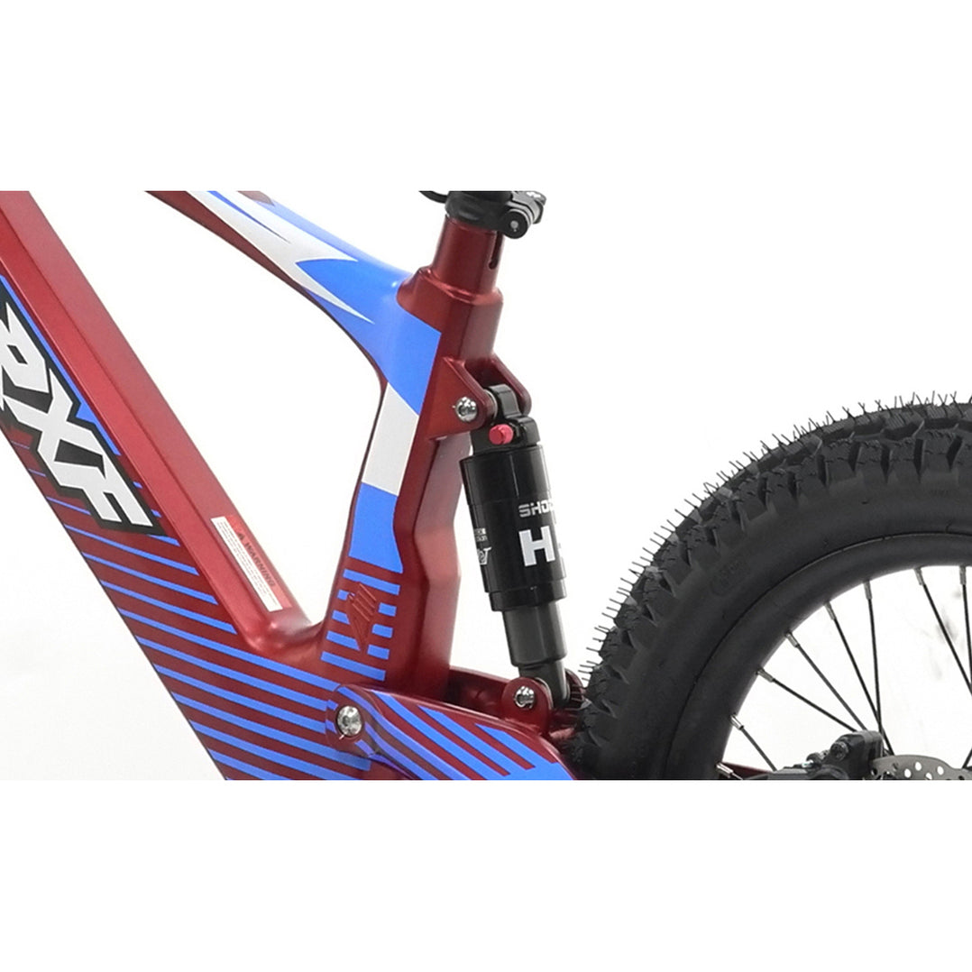 Apollo, RXF EVO 18, Electric Bike (36 Volts) (500 Watts/750 Watts Peak ...