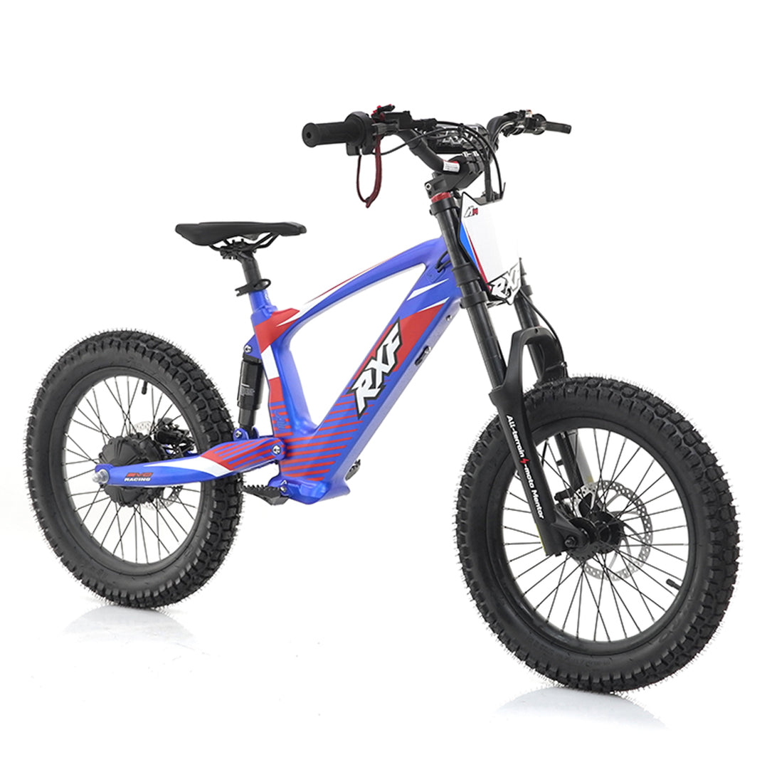 Apollo, RXF EVO 18, Electric Bike (36 Volts) (500 Watts/750 Watts Peak ...