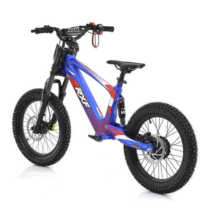 Apollo, RXF EVO 18, Electric Bike (36 Volts) (500 Watts/750 Watts Peak ...