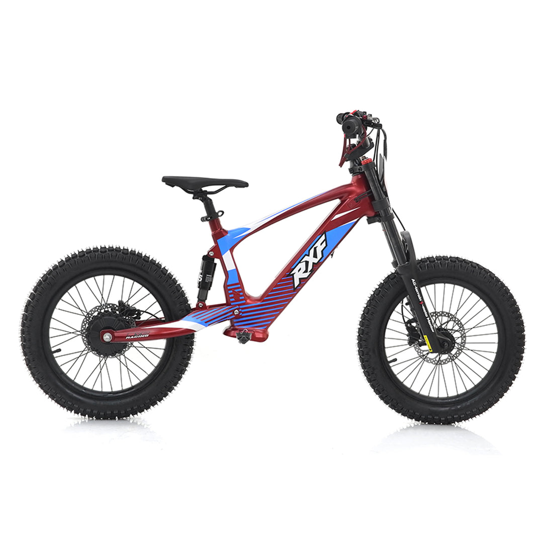 Apollo, RXF EVO 18, Electric Bike (36 Volts) (500 Watts/750 Watts Peak ...