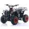 Apollo, VRX 110-F, Gasoline Quad (110cc) (4 Stroke) (5 Years+)