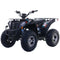 Apollo, VRX 200-F, Quad à Essence (4 Temps) (EFI) (174cc)