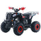 Apollo, VRX 125-F, Gasoline Quad (125cc) (4 Stroke) (10 Years+)