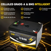 Ensemble de Mise à Niveau de Voiture pour Enfant, Batterie (24 Volts) (12Ah) (Grade A) au Lithium avec Chargeur et Adapteurs