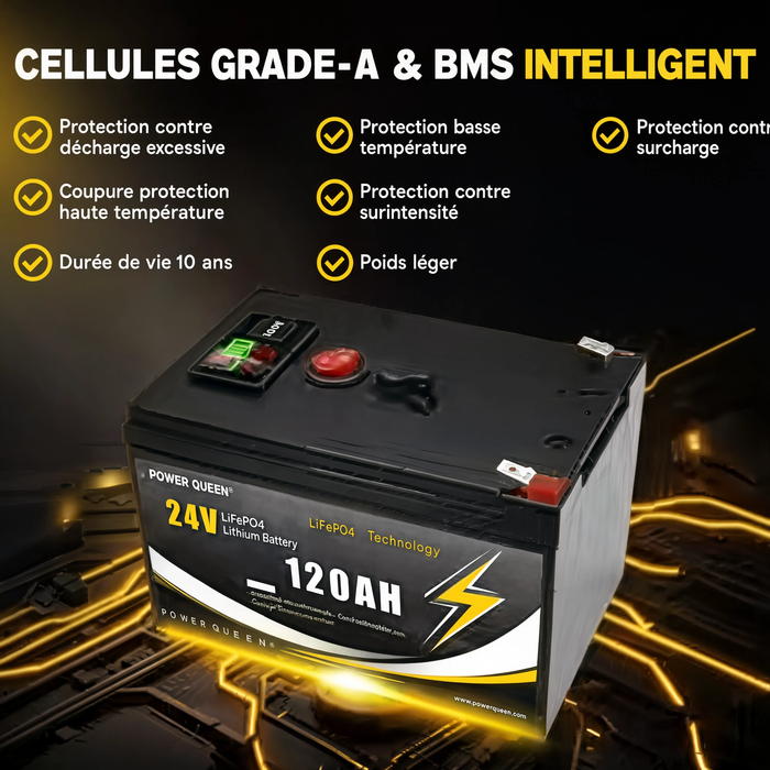 Ensemble de Mise à Niveau de Voiture pour Enfant, Batterie (24 Volts) (12Ah) (Grade A) au Lithium avec Chargeur et Adapteurs