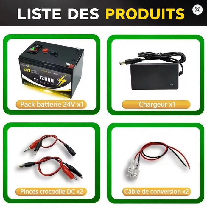 Ensemble de Mise à Niveau de Voiture pour Enfant, Batterie (24 Volts) (12Ah) (Grade A) au Lithium avec Chargeur et Adapteurs