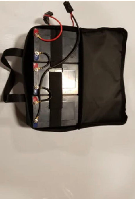 Apollo Sano cobra 1000 watts - 36V Battery Kit
