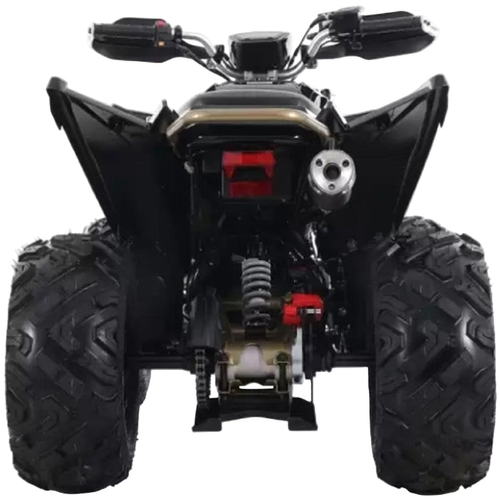 Denago, Daytona, Quad à Essence à Injection Électronique (EFI) (250cc)