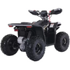 Denago, E-Hawk 6, Quad Électrique (48 Volts) (1600 Watts)