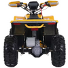 Denago, E-Hawk 6, Quad Électrique (48 Volts) (1600 Watts)