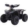 Denago, E-Hawk 6, Quad Électrique (48 Volts) (1600 Watts)