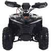 Denago, E-Hawk 6, Quad Électrique (48 Volts) (1600 Watts)