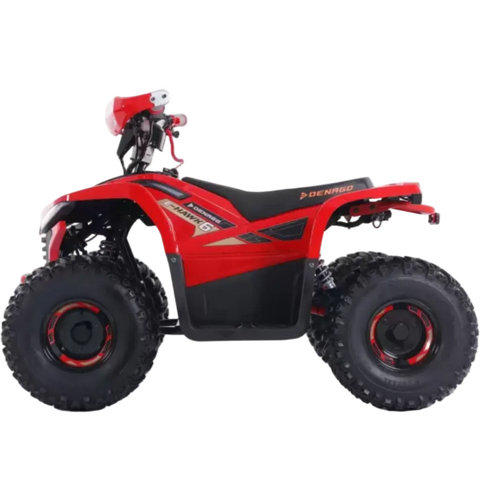 Denago, E-Hawk 6, Quad Électrique (48 Volts) (1600 Watts)