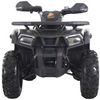 Denago, MudHawk 200, Quad à Essence (4 Temps) (EFI) (200cc)