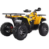 Denago, MudHawk 200, Quad à Essence (4 Temps) (EFI) (200cc)