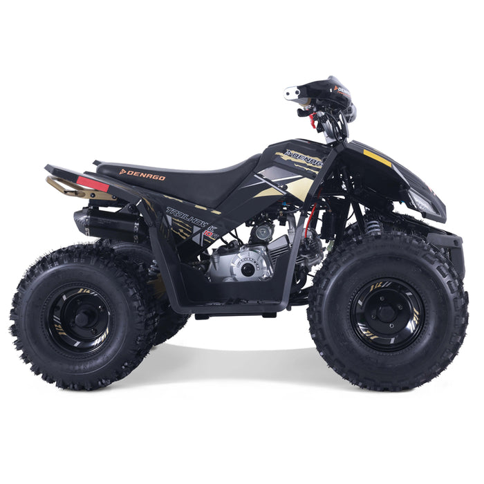 Denago, Trailhawk, Quad à Essence à Injection Électronique (EFI) (120cc)