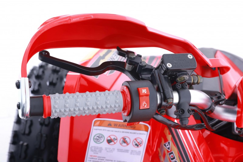 Denago, Trailhawk, Quad à Essence à Injection Électronique (EFI) (120cc)