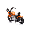 Freddo Toys, E-Chopper (36 Volts / 7 Ah) (350 Watts) (1 Place)