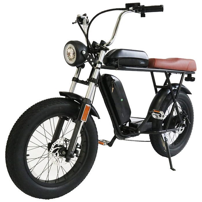 EZWheel, Fat Bike X1 et X2, Vélo Électrique (48 Volts) (13Ah) (500 Watts)