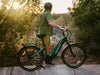 HeyBike, Hybrid, Vélo Électrique (48 Volts) (18Ah) (750 Watts) (1200 Crête)