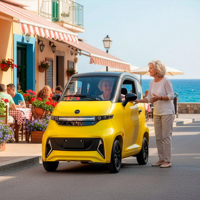 Ecolo Cycle, ET4 Cruise Connect, Quadriporteur Cabine Fermée (60 Volts) (1500 Watts) (58Ah)