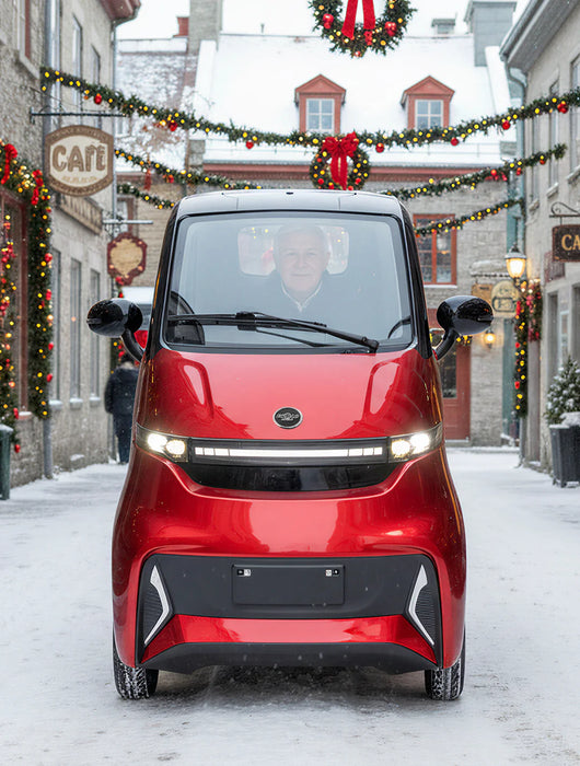 Ecolo Cycle, ET4 Cruise Connect, Quadriporteur Cabine Fermée (60 Volts) (1500 Watts) (58Ah)