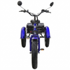 Cargo (Fat Tire), Tricycle Électrique (48 Volts) (500 Watts) (20Ah) au Lithium