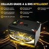 Ensemble de Mise à Niveau de Voiture pour Enfant, Batterie (24 Volts) (12Ah) (Grade A) au Lithium avec Chargeur et Adapteurs