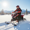Denago, Trailhawk avec Chenilles et Skis, Quad à Essence à Injection Électronique (EFI) (120cc)