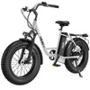 HiBoy, EX6 Fat Tire, Vélo Électrique (48 Volts) (14,5Ah) (500 Watts)