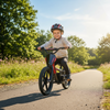 Apollo, RFZ Sedna 16 (2025), Vélo Électrique pour Enfants (24 Volts) (170 Watts) au Lithium