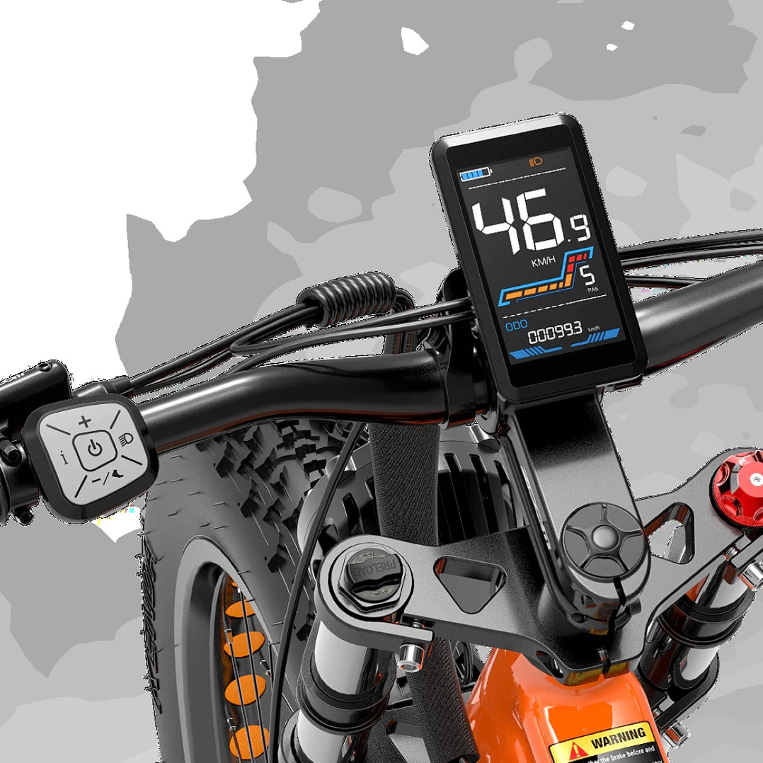 Vélo électrique Fatbike Lankeleisi RV800 Plus - 26 Pouces, 9 Vitesses, Tout Terrain - NEUF