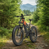 Lankeleisi, RV800 Plus, Vélo Électrique de Montagne (48 Volts) (20Ah) (750 Watts) (1130 Watts/Peak)