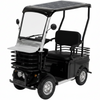 Avvenire, Loadrider, Quadriporteur Solaire (60 Volts) (32Ah) (1000 Watts)