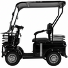 Avvenire, Loadrider, Quadriporteur Solaire (60 Volts) (32Ah) (1000 Watts)