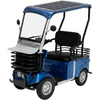 Avvenire, Loadrider, Quadriporteur Solaire (60 Volts) (32Ah) (1000 Watts)