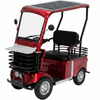 Avvenire, Loadrider, Quadriporteur Solaire (60 Volts) (32Ah) (1000 Watts)