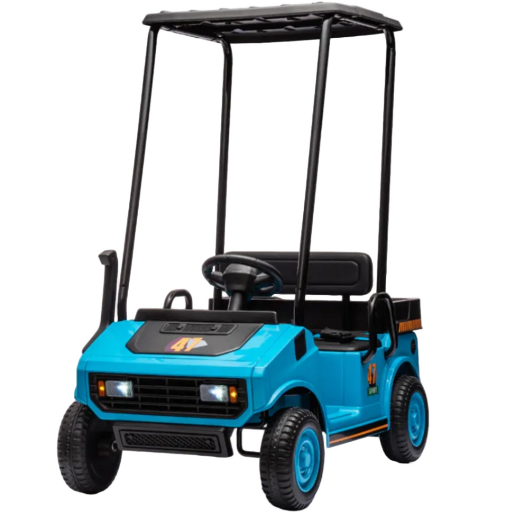 Mini Golf Pro (24 Volts) (Deux Moteurs) (1 Place)