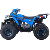 Denago, MudHawk 2026, Quad à Essence (4 Temps) (EFI) (120cc)