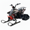 Tao Motors, New Rock 110 avec Chenilles et Skis, Quad à Essence (110cc) (4 Temps)
